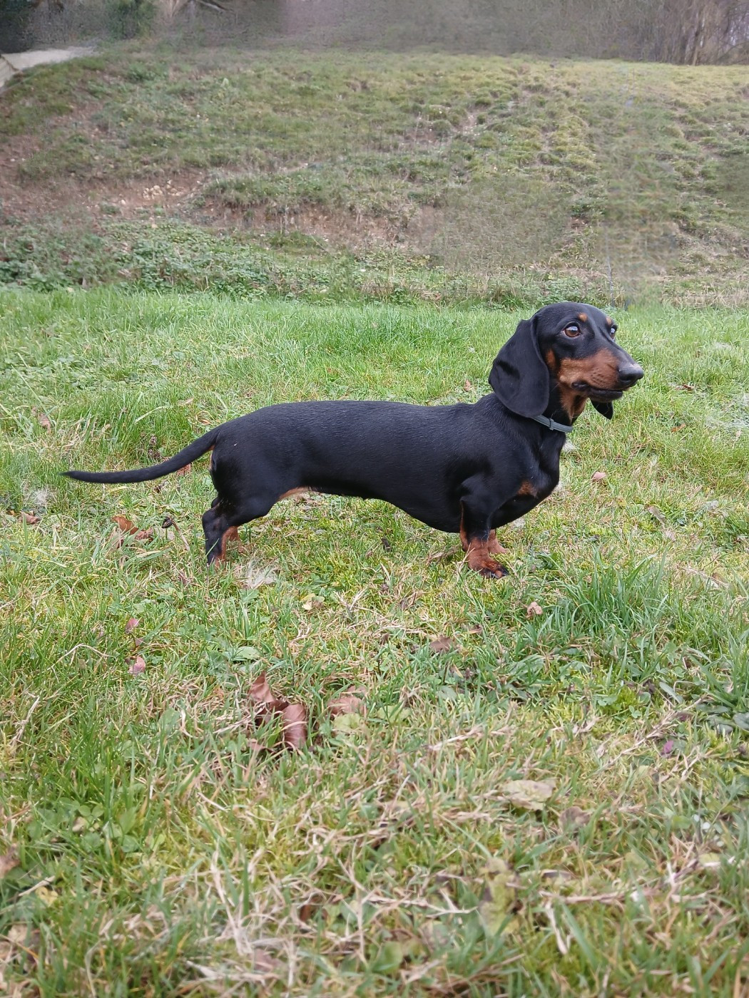 Unique Du Clos De La Foliette